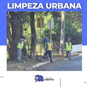 limpeza11