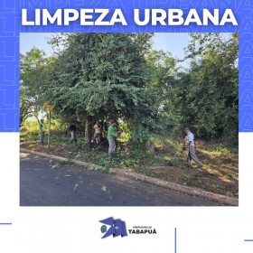 limpeza8