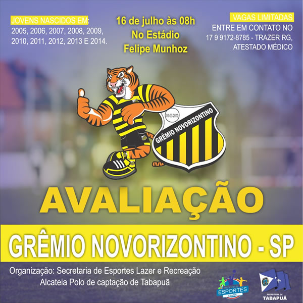 Notícias Grêmio Novorizontino