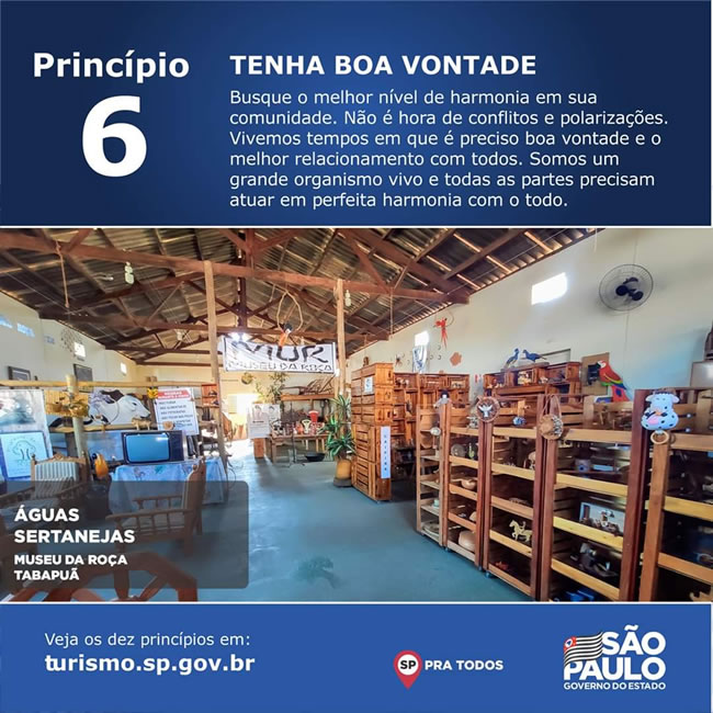 Princípio 6 - Mobilização contra a COVID-19