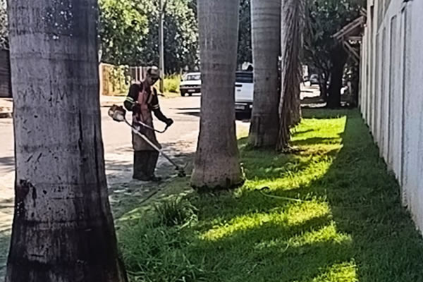 Limpeza urbana | Cidade sempre limpa e organizada