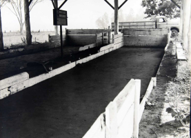 Fotos Históricas de Tabapuã